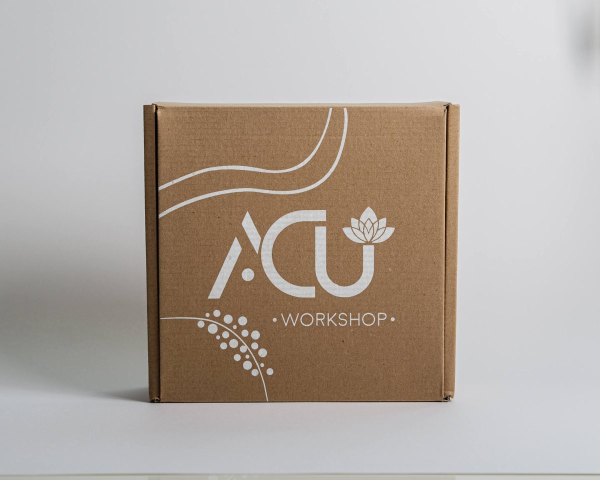 Caja de Envío Imperial (26x25x10 cm)