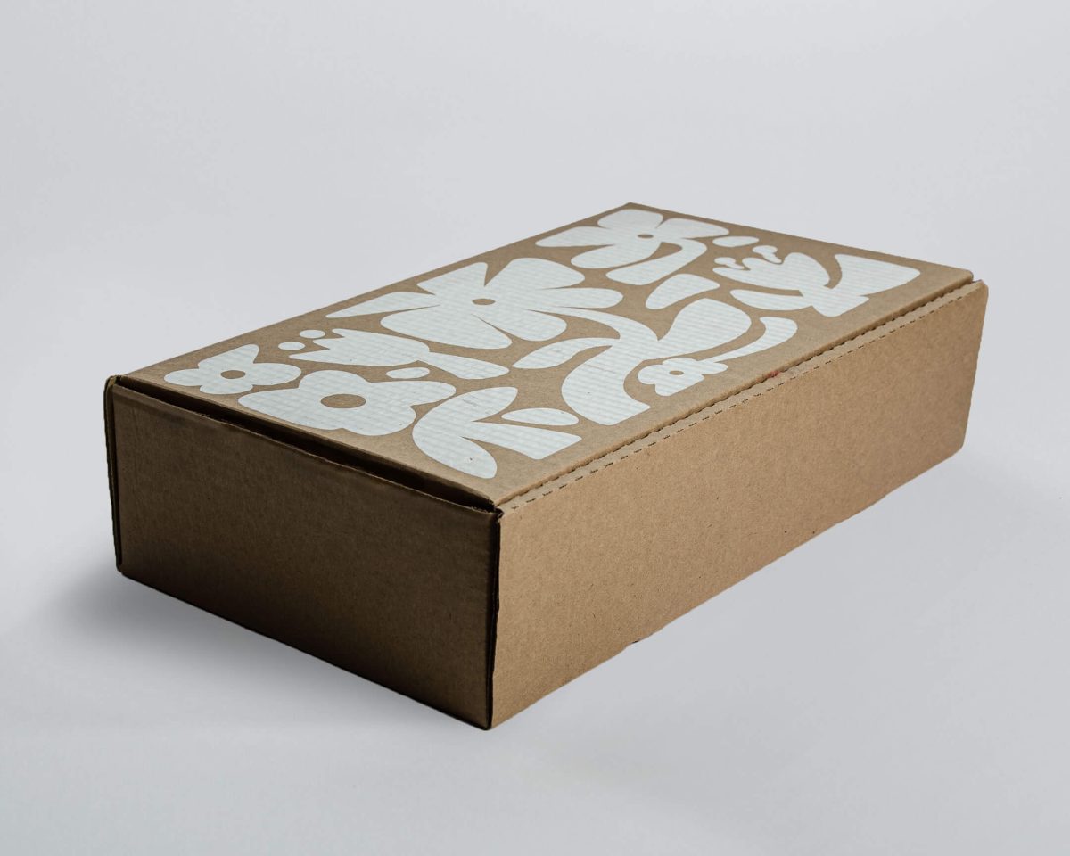 Caja de Envío Jumbo (48x26x12 cm)