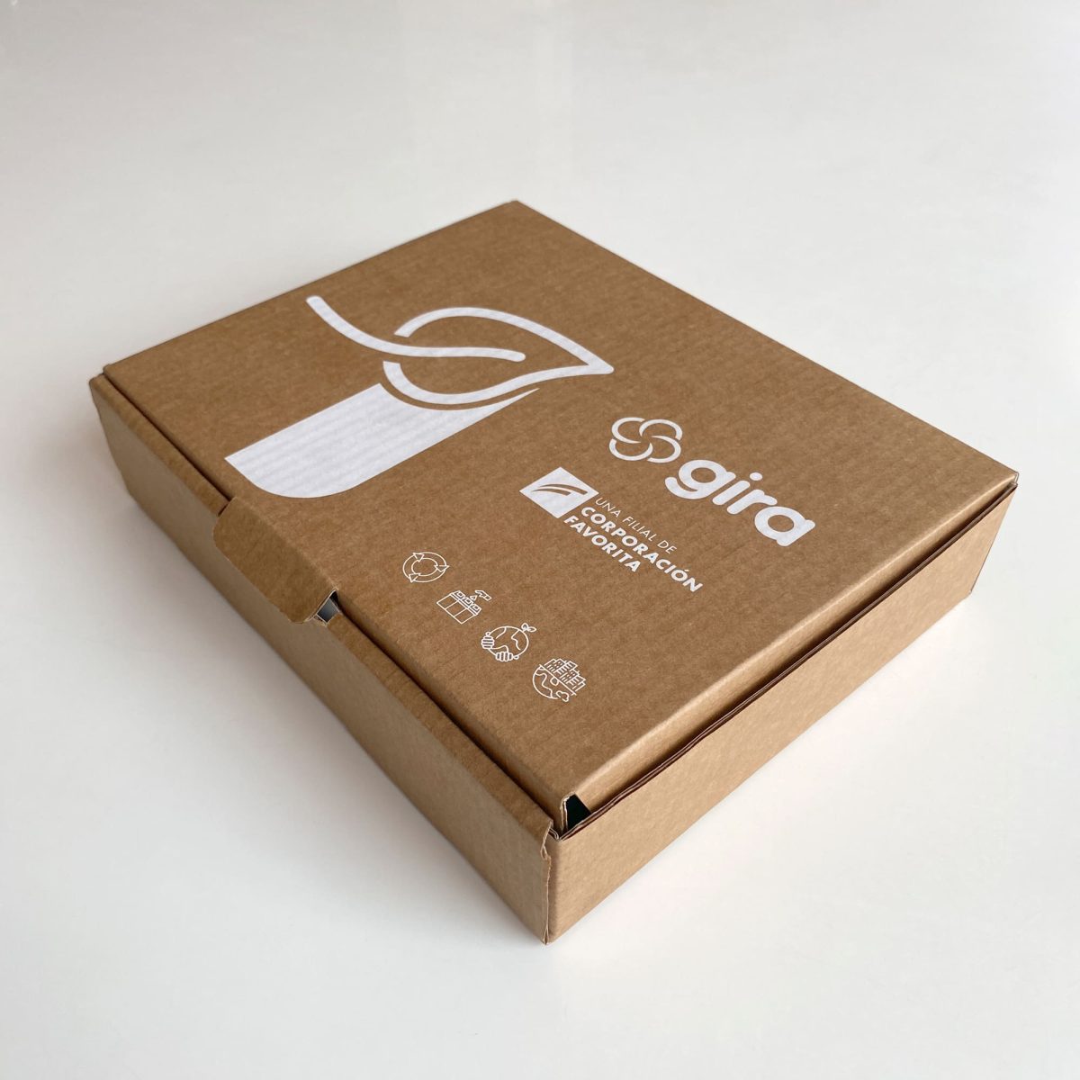 Caja de Envío Agenda (22.5x18x5 cm)